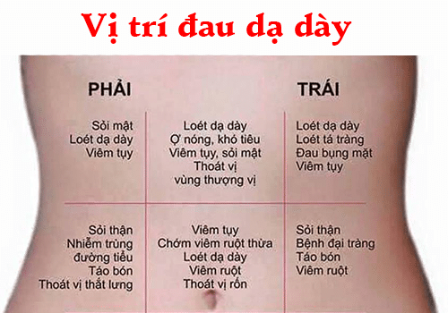 Vi Tri Dau Viem Xung Huyet Hang Vi Day Day
